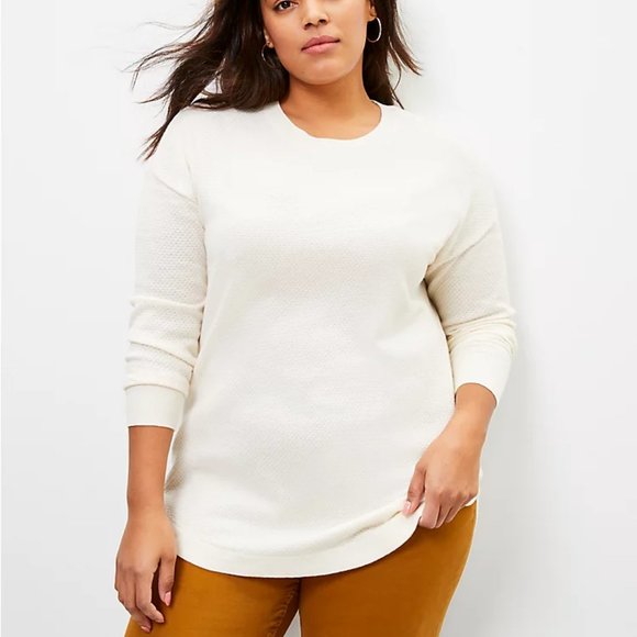 LOFT | Plus Dolman Tunic Sweater - Picture 1 of 2